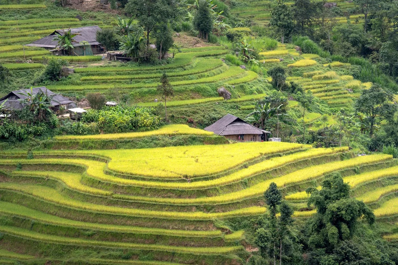 Đi Ninh Bình bằng tàu hỏa từ Hà Nội có thuận tiện không
