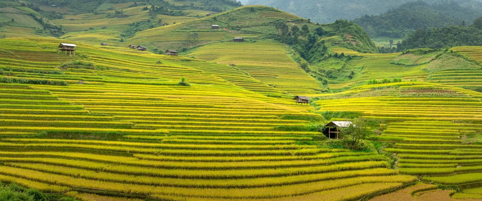 Kinh nghiệm đi du lịch SaPa