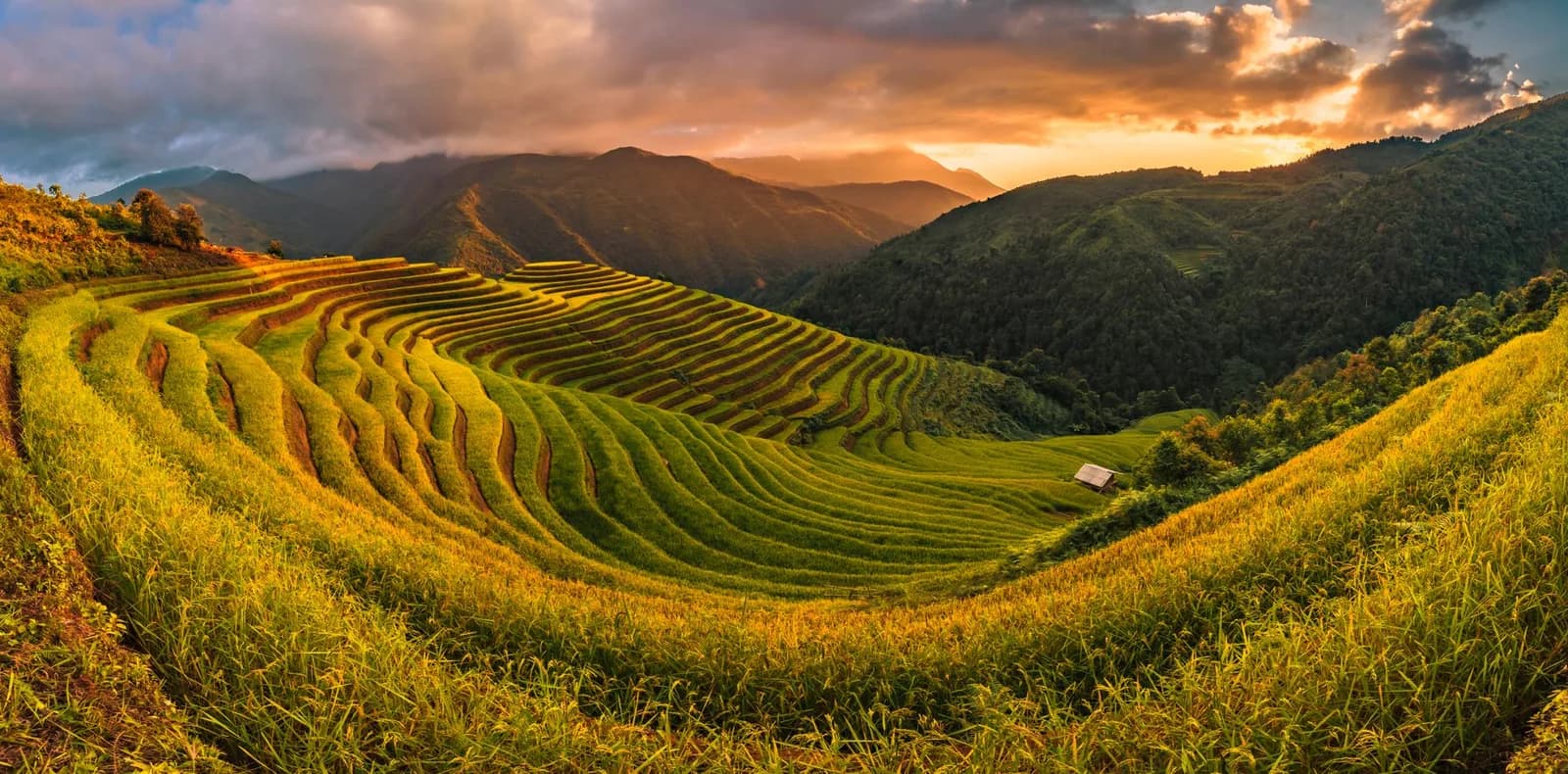 7 nơi ngắm mùa lúa chín tháng 9 dành cho người lần đầu đi Tây Bắc