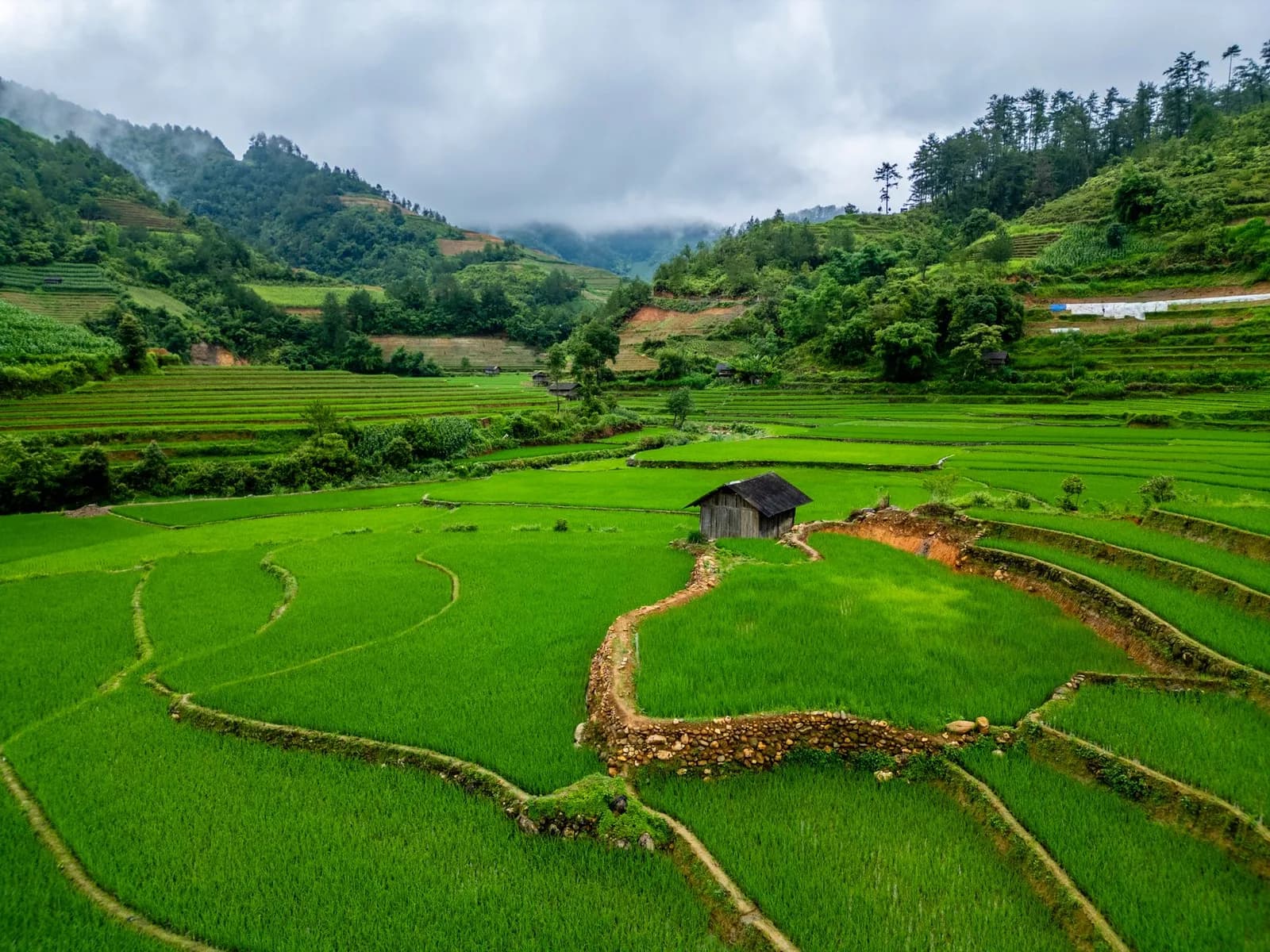 Lịch trình Mù Cang Chải 3 ngày từ Hà Nội bằng xe khách