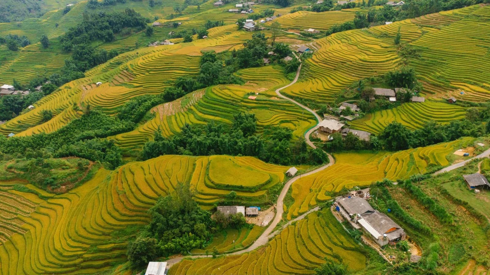 Chợ phiên Mù Cang Chải họp vào ngày nào trong tuần