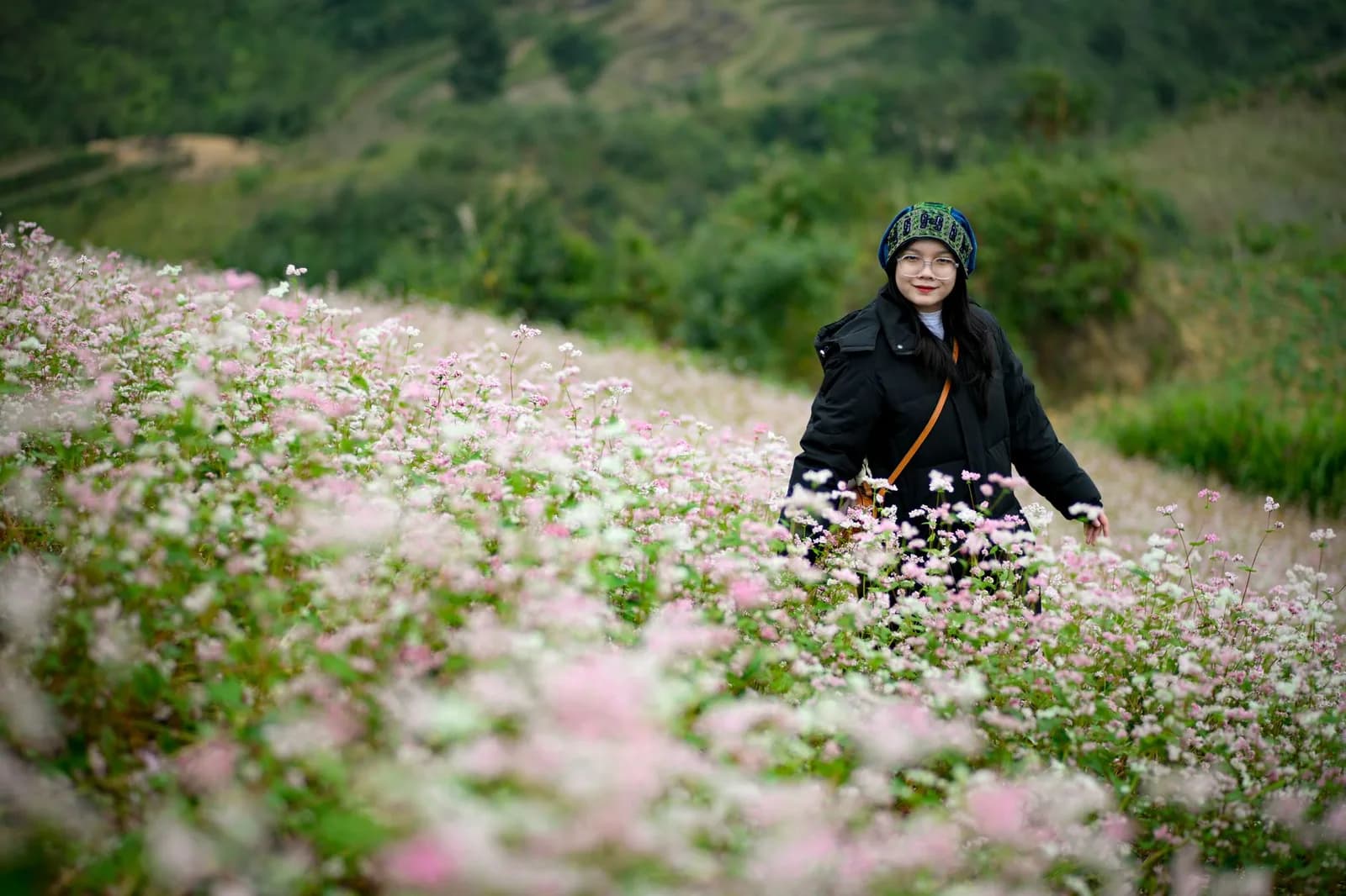 Cao nguyên đá Đồng Văn tháng nào có hoa tam giác mạch nở