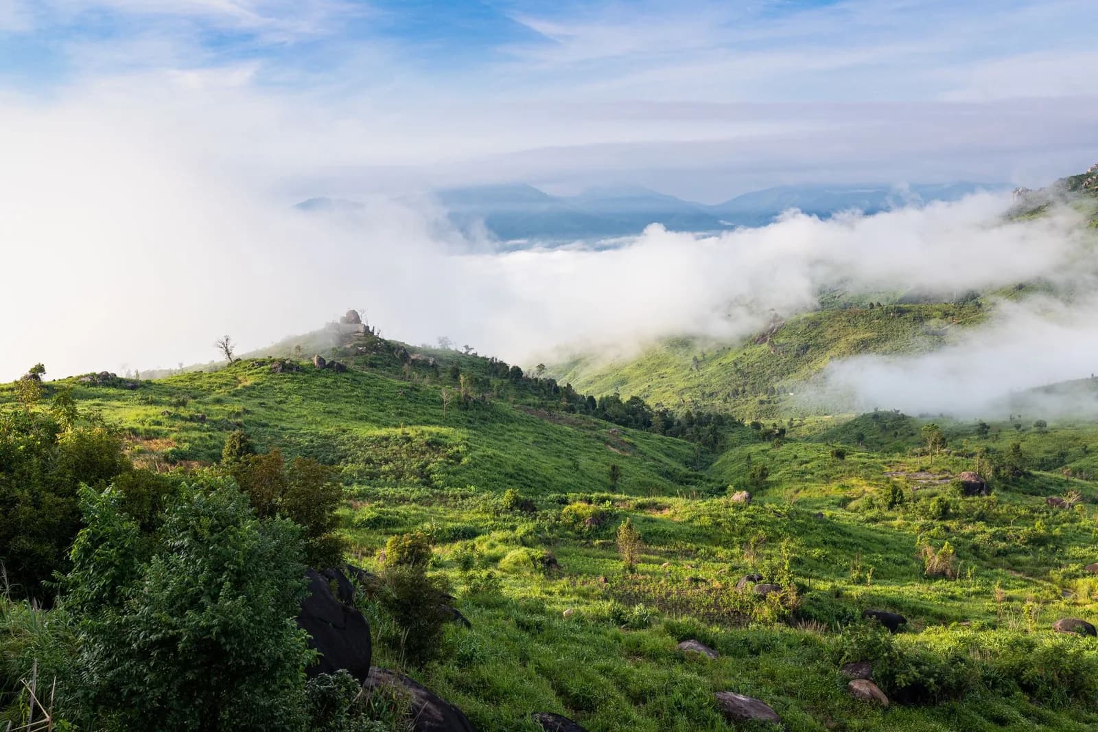 Thời điểm nào trong năm trekking Tam Đảo ít mưa nhất