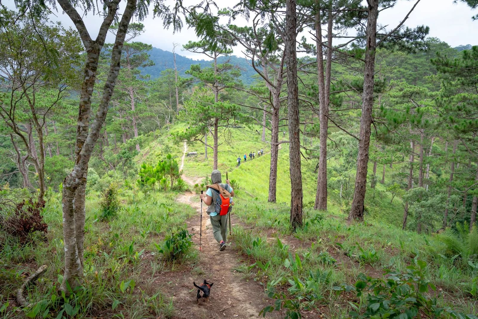 So sánh trekking Tam Đảo và Ba Vì cho chuyến đi cuối tuần