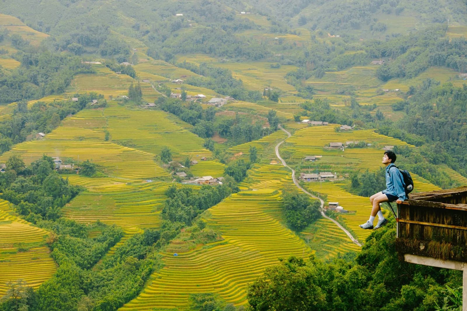 Kinh nghiệm đi trekking Phu Sa Phìn cho người đi lần đầu
