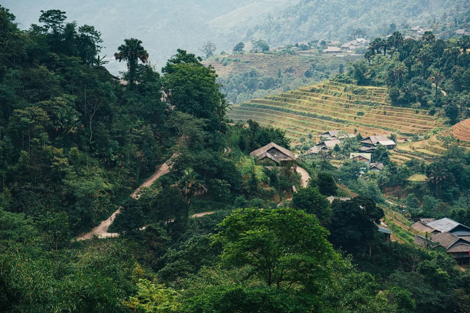 Mùa nào thích hợp để thuê homestay một mình ở vùng núi phía Bắc