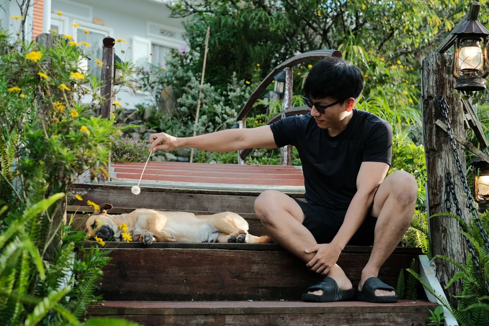 Điểm Mặt Quy Định Homestay Pet-Friendly: Chó Trên 10kg Có Khó Đặt Phòng?