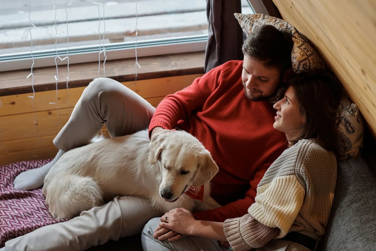7 Dấu Hiệu Mách Bạn Homestay Pet-Friendly "Xịn" Hay Chỉ Gắn Mác Cho Có!
