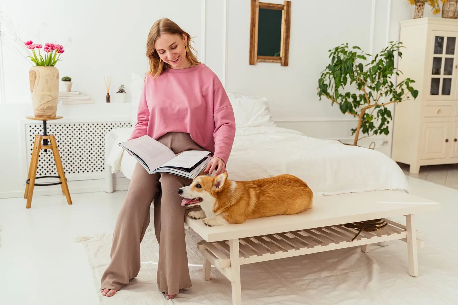 Sự Thật Sau Homestay Pet-Friendly Miễn Phí Và Nơi Thu Phí Theo Đêm