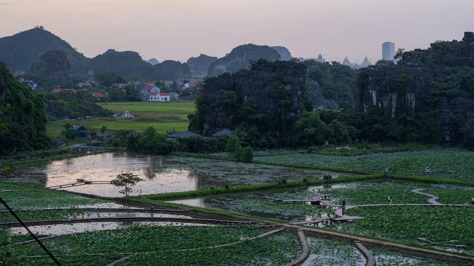 Giá phòng homestay Ninh Bình mùa lúa chín tháng 5 tăng bao nhiêu so với ngày thường