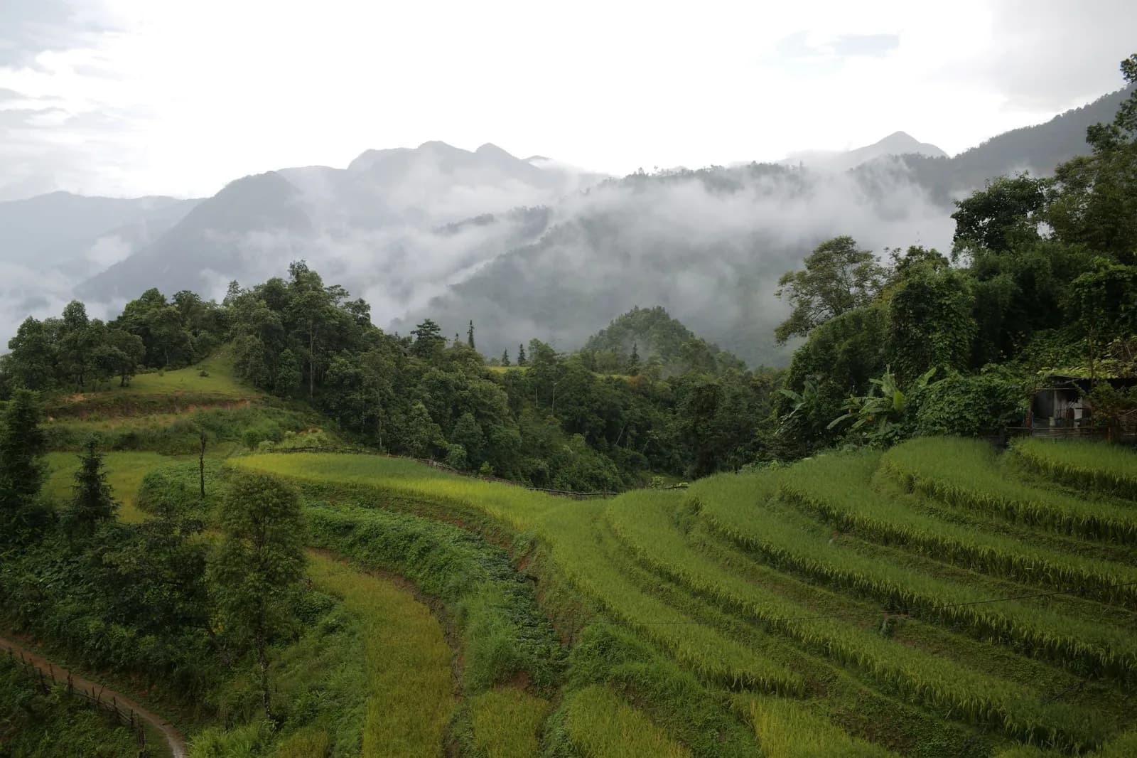 Vì sao homestay nhìn ra thung lũng Mường Hoa hợp với nhóm bạn thích chụp ảnh