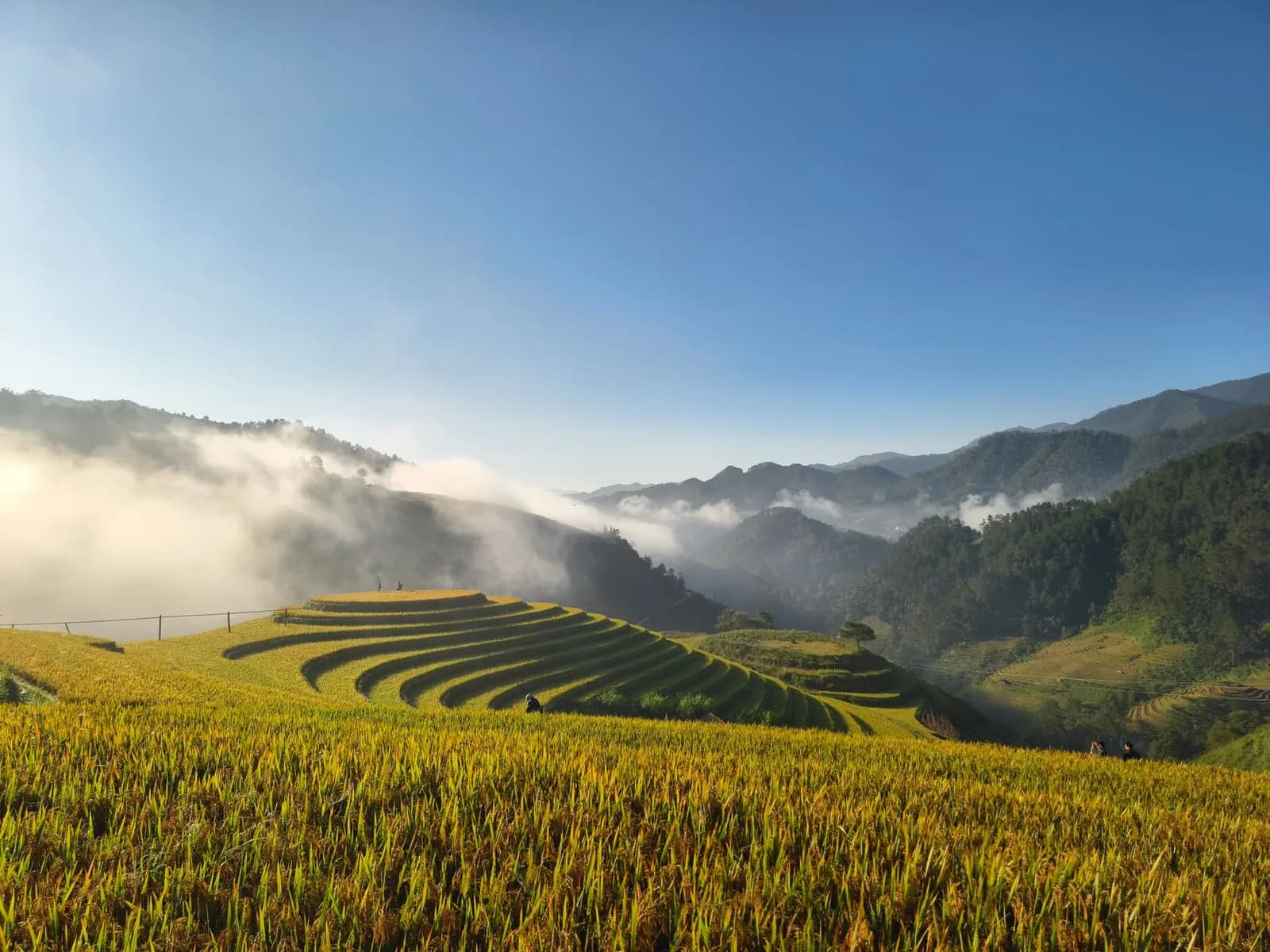 Những khu homestay Sa Pa yên tĩnh cho nhóm bạn cần ngủ đủ giấc sau trekking
