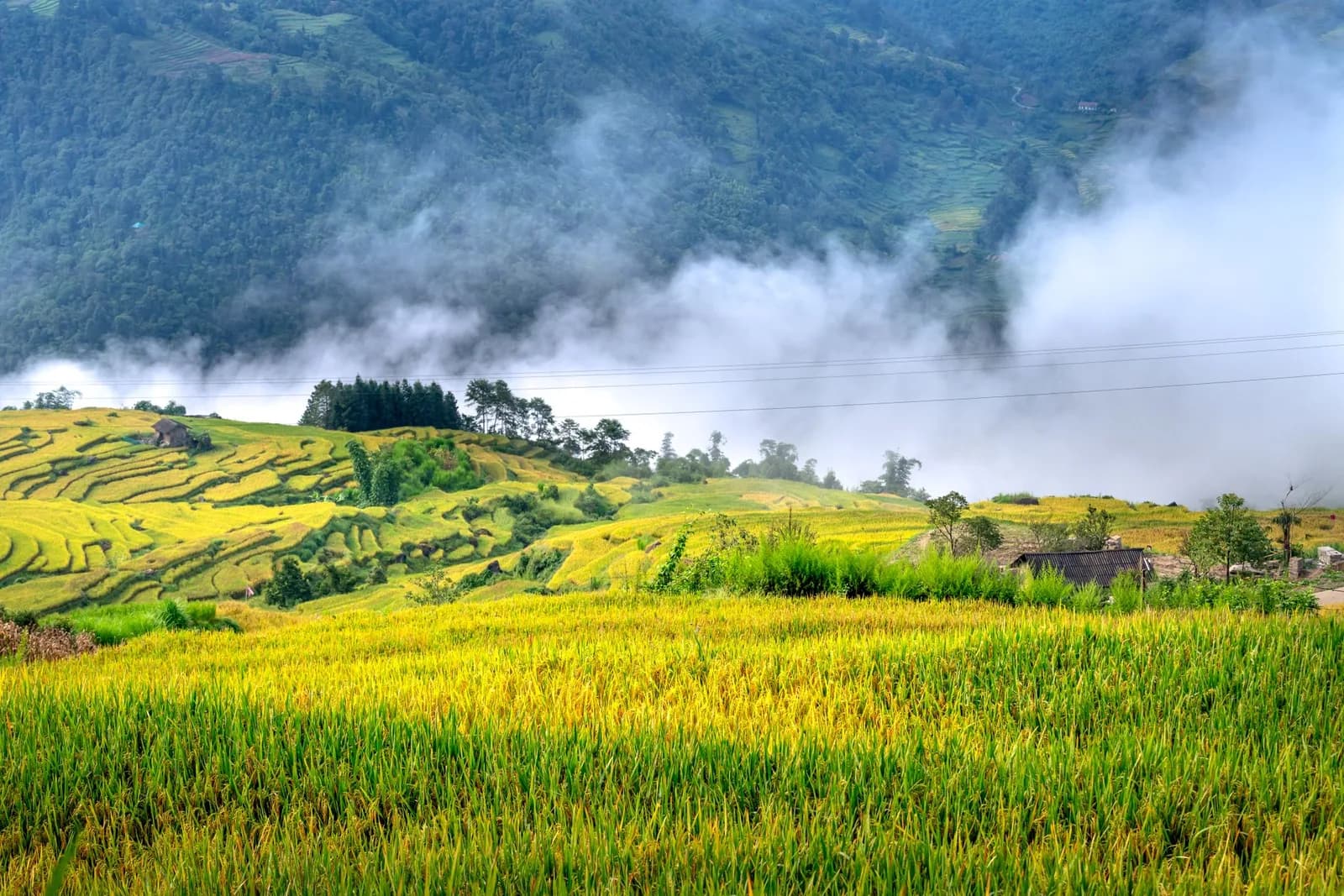 Cách thương lượng giá phòng homestay Sa Pa cho nhóm đông người