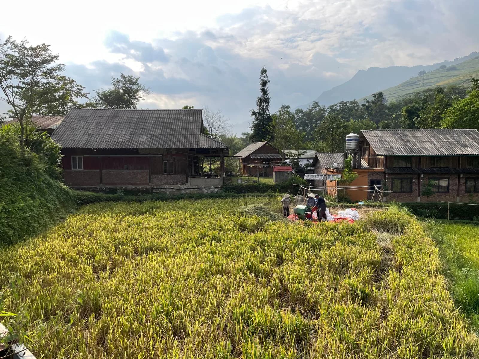 So sánh homestay Sa Pa tự vận hành và homestay chuỗi cho nhóm bạn trẻ