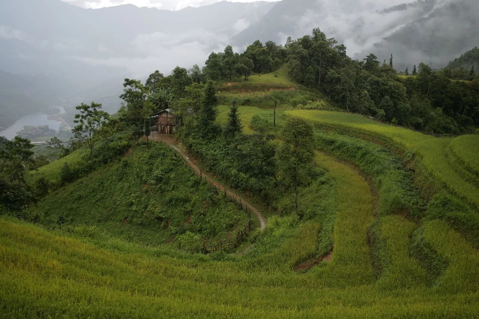 Giá homestay Sa Pa mùa thấp điểm rẻ hơn mùa cao điểm bao nhiêu
