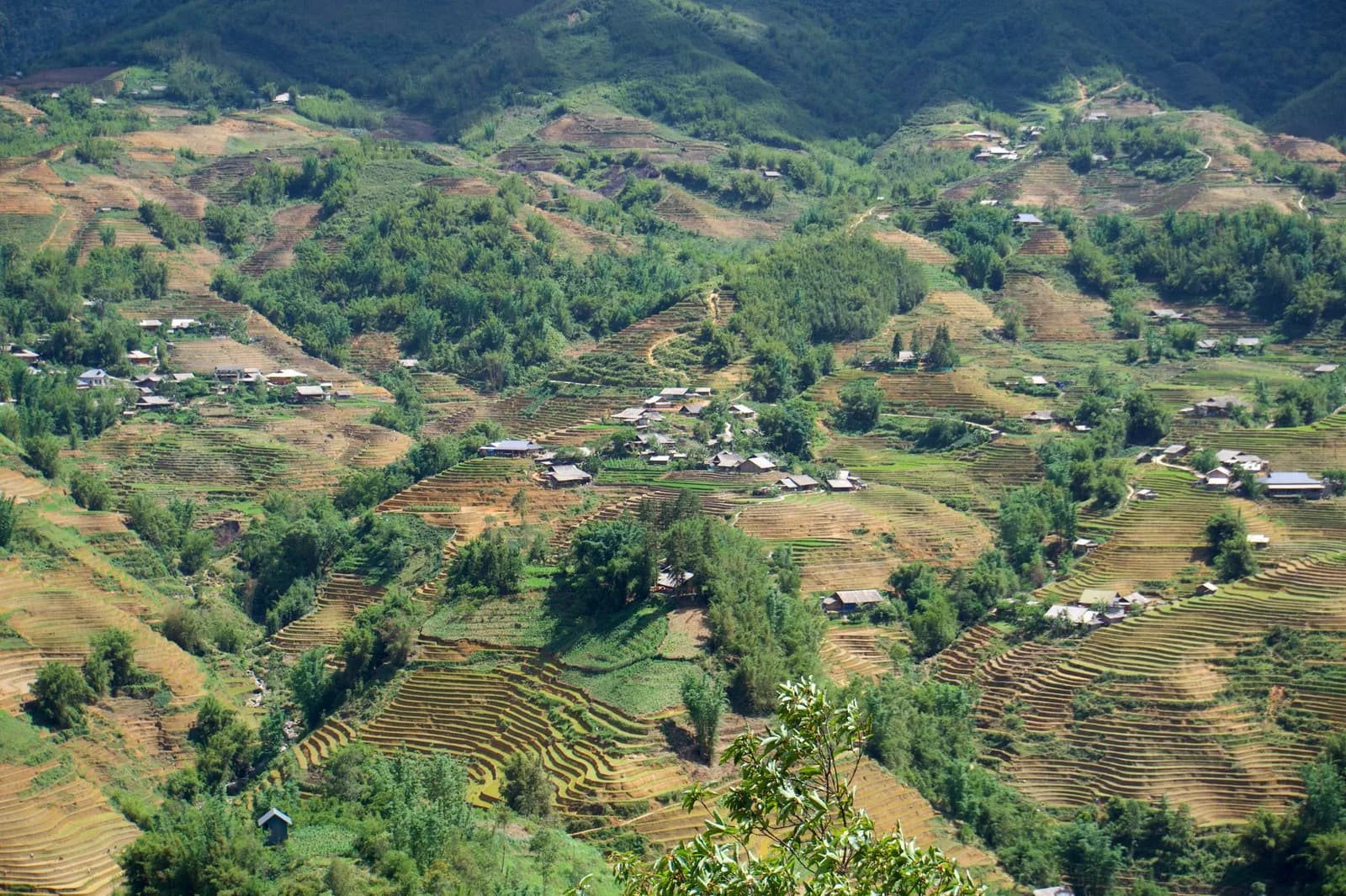 8 câu hỏi nhận diện chủ homestay Sa Pa uy tín trước khi chuyển cọc