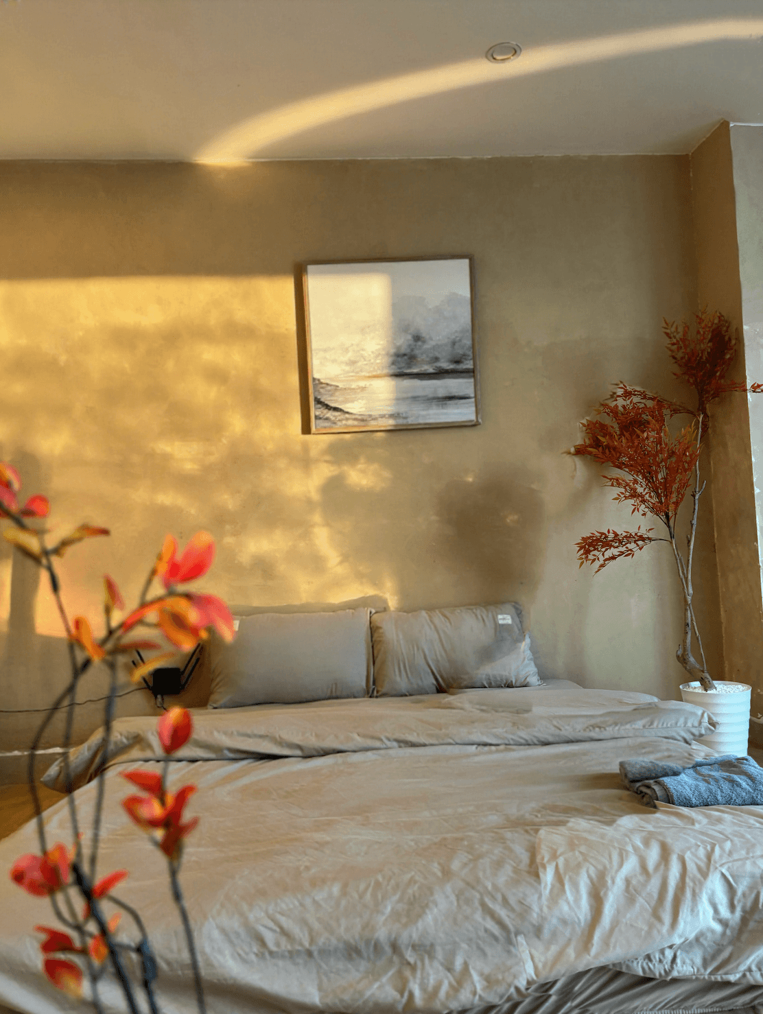501 QH | Yuki Home