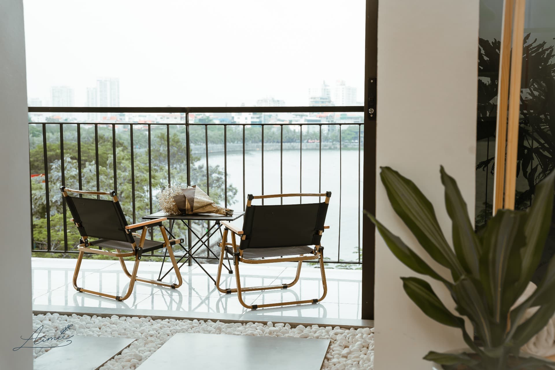 Dreamscape 501TS - 3