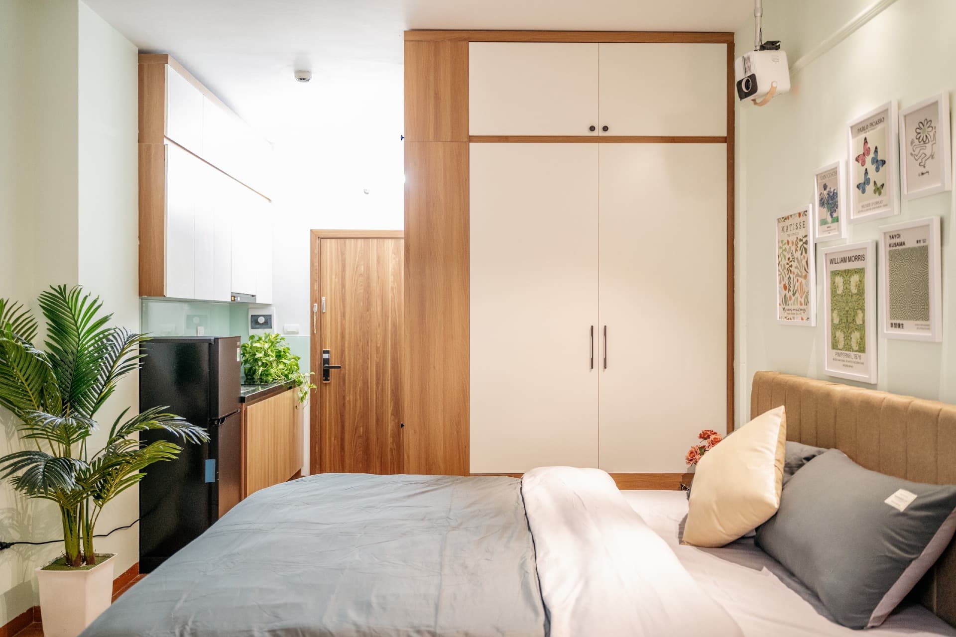 Driftwood 203KDT - 8