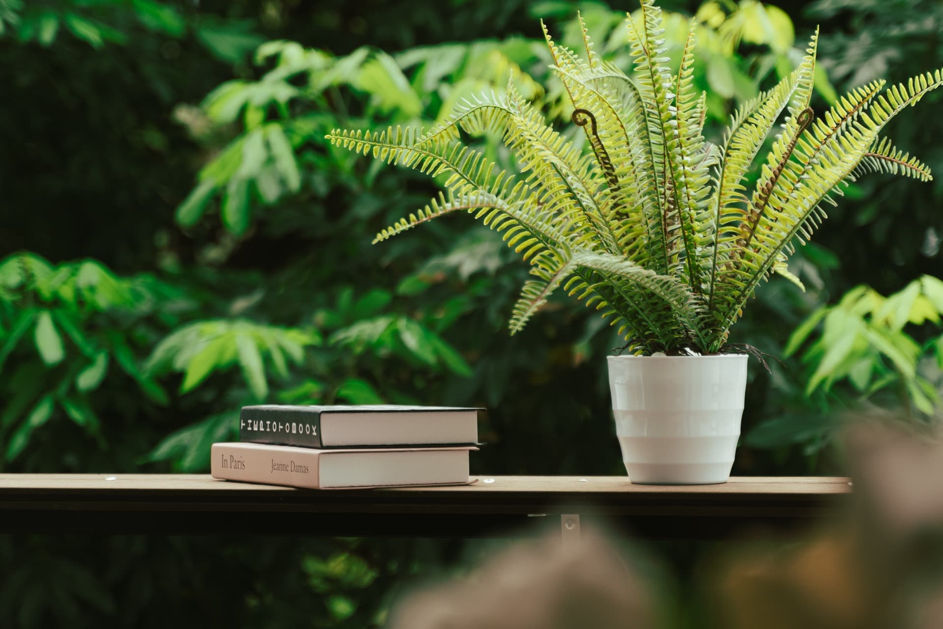 Twilight 302KDT - 10