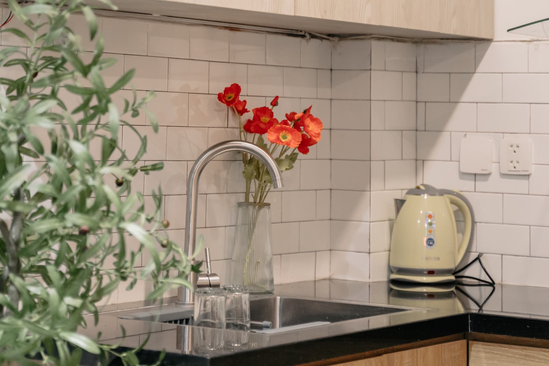 Emberlyn 502VPH - 11