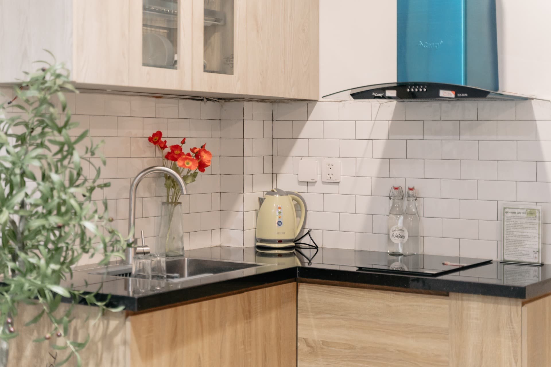 Emberlyn 502VPH - 19