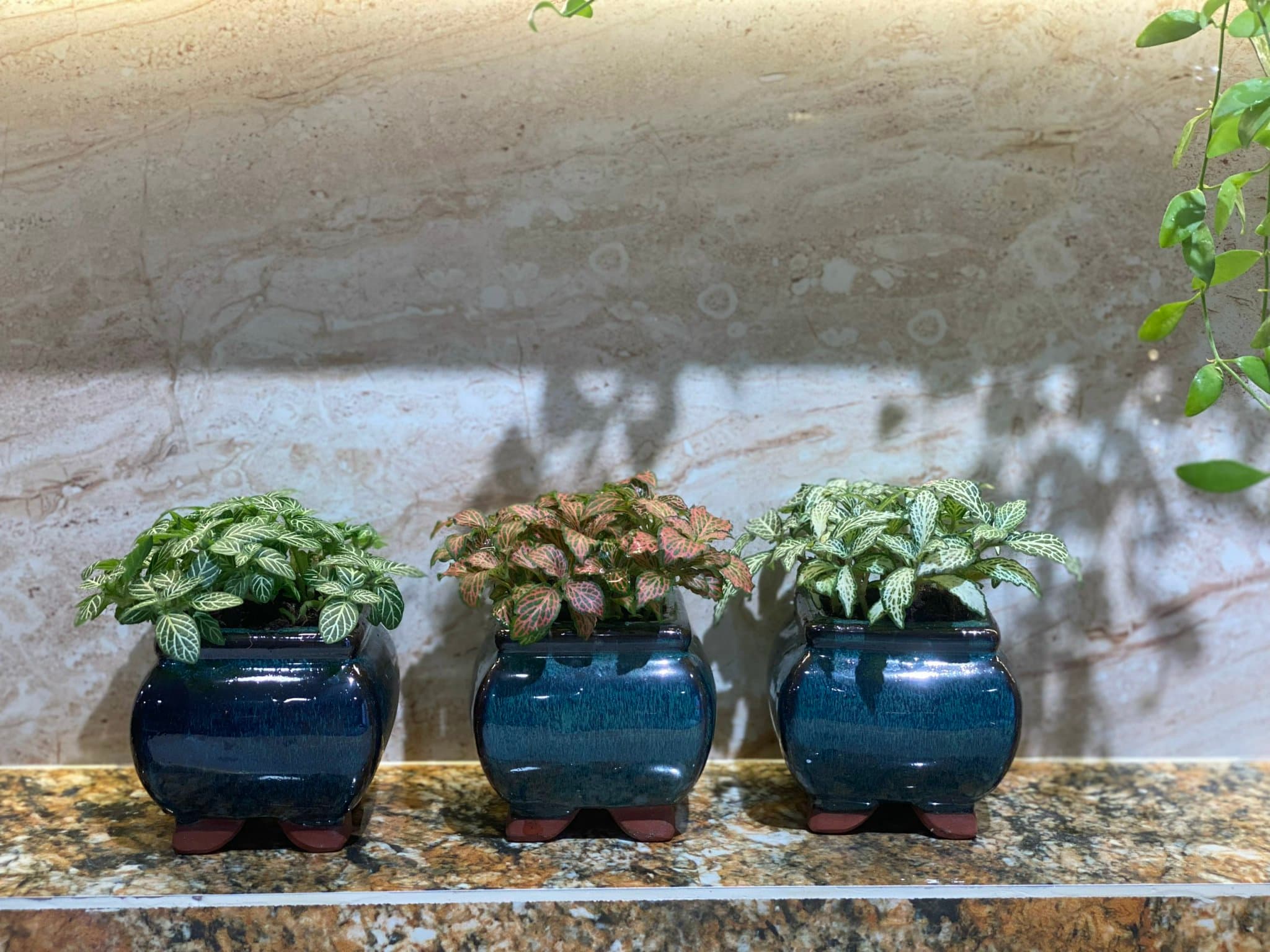 Mystery I4 2819  - 6