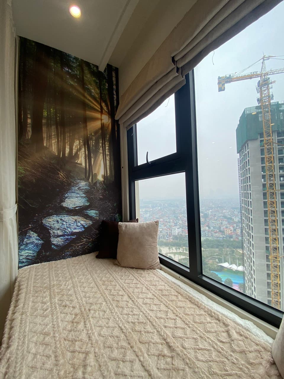 Family S303 2610  - 12