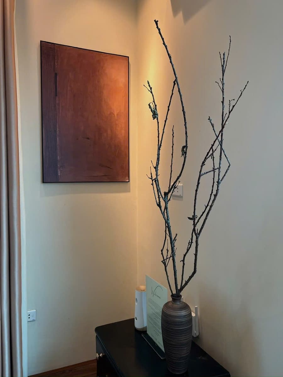 Exclusive 501VT - 12