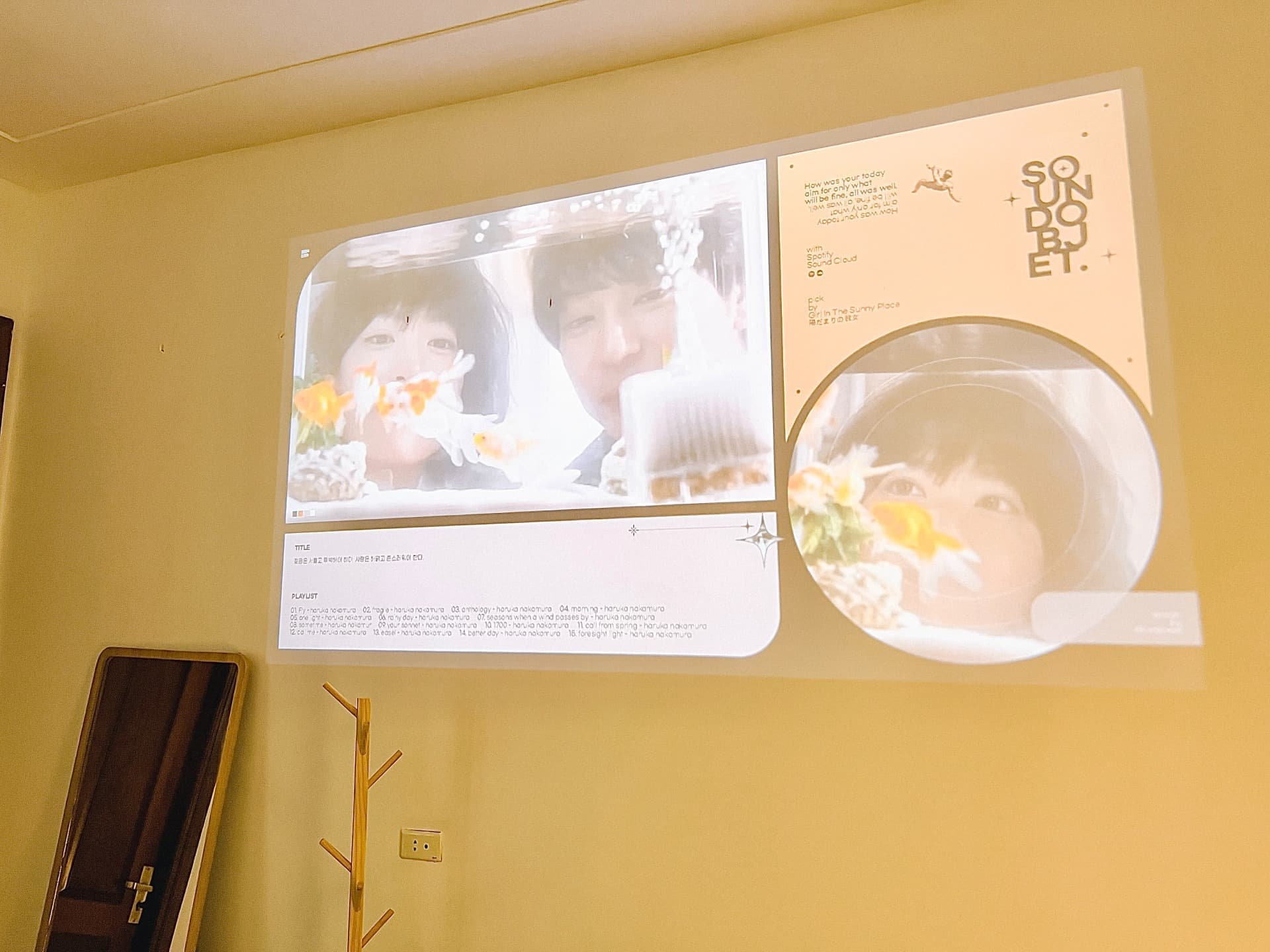 Amazing 201BVTP - 14