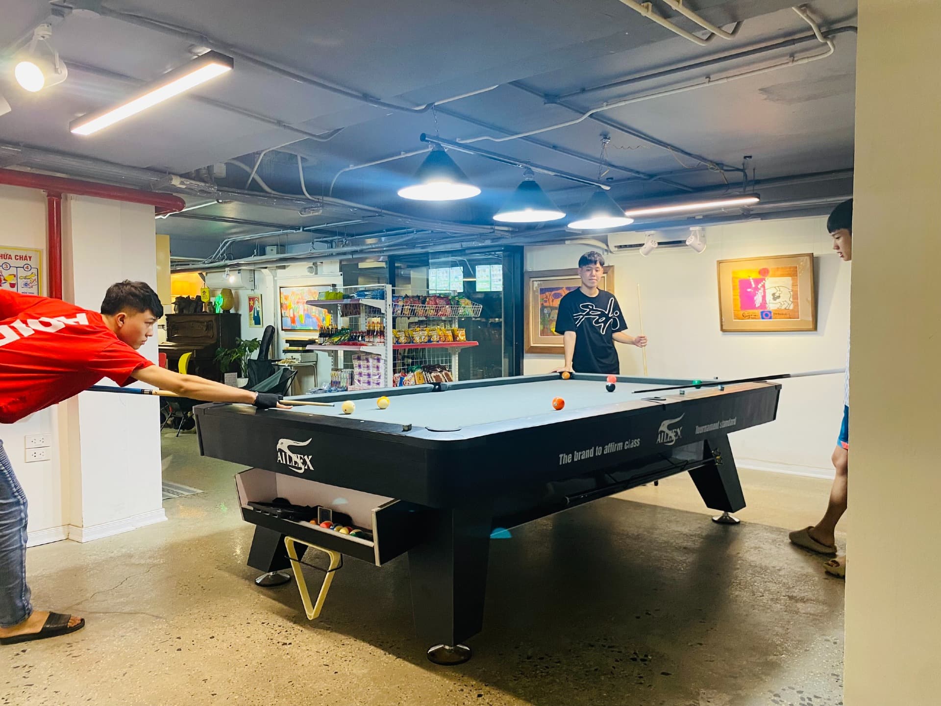 Arctic Fox MD4009 - 11