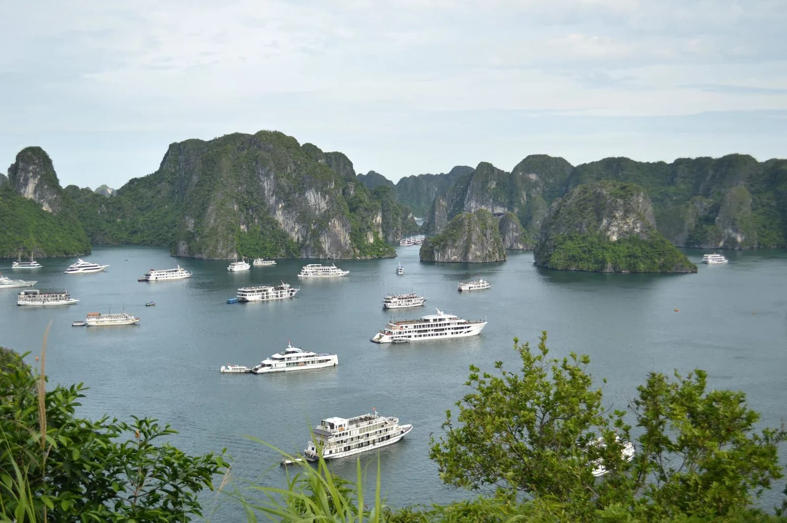 Đi du thuyền Hạ Long một ngày cần chuẩn bị những gì