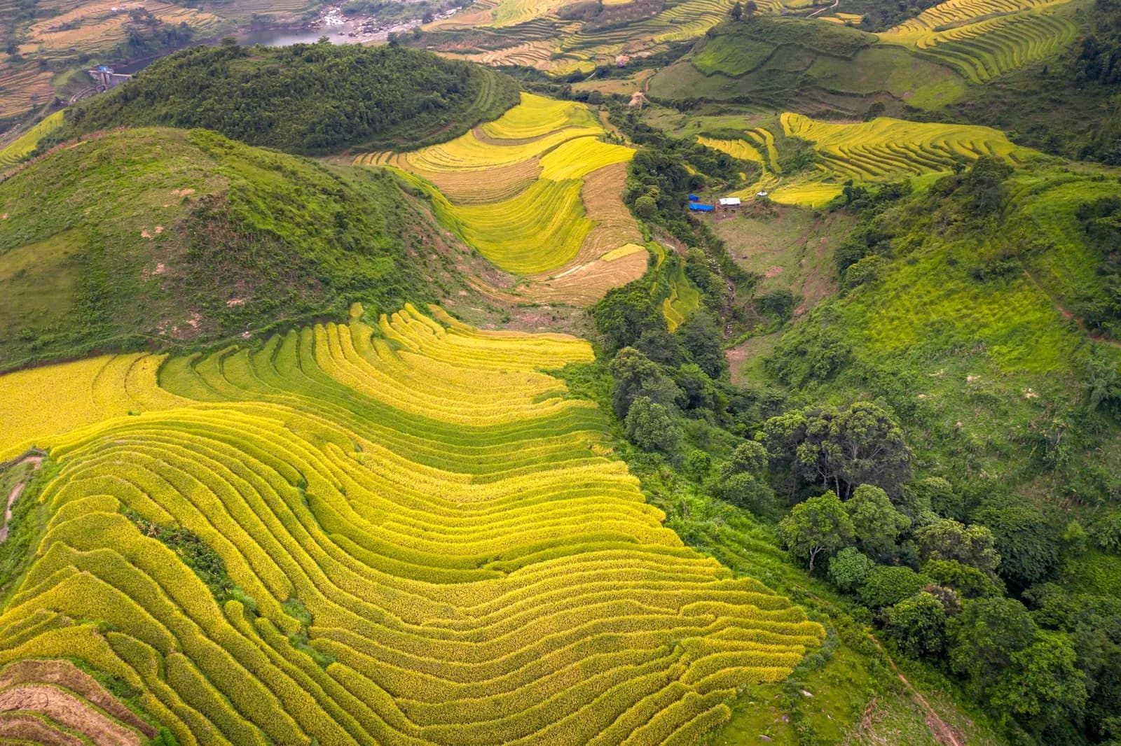Cách chọn homestay ở Mù Cang Chải cho mùa lúa chín