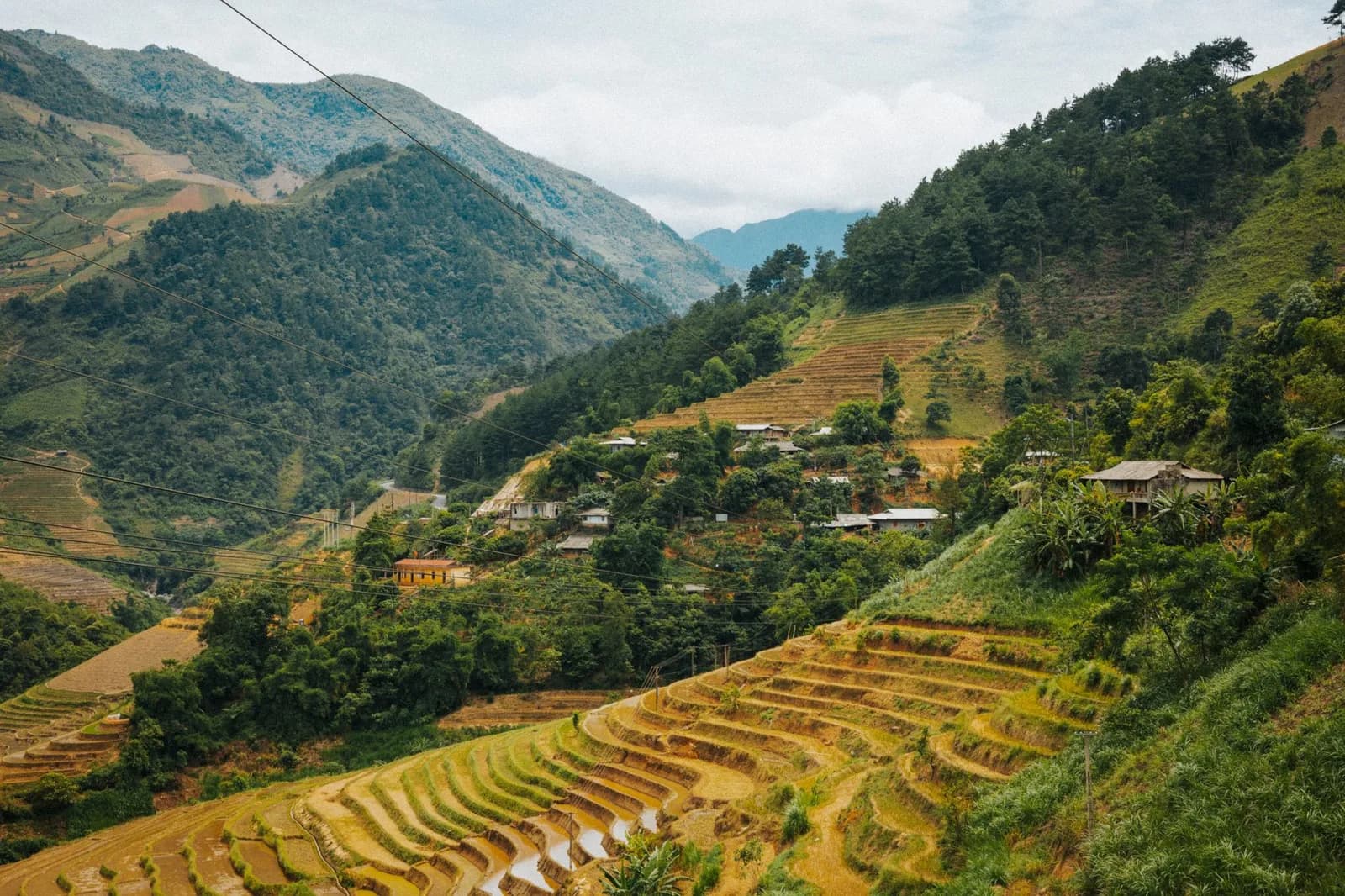 Thuê xe máy ở Mù Cang Chải vào mùa lúa chín cần lưu ý gì