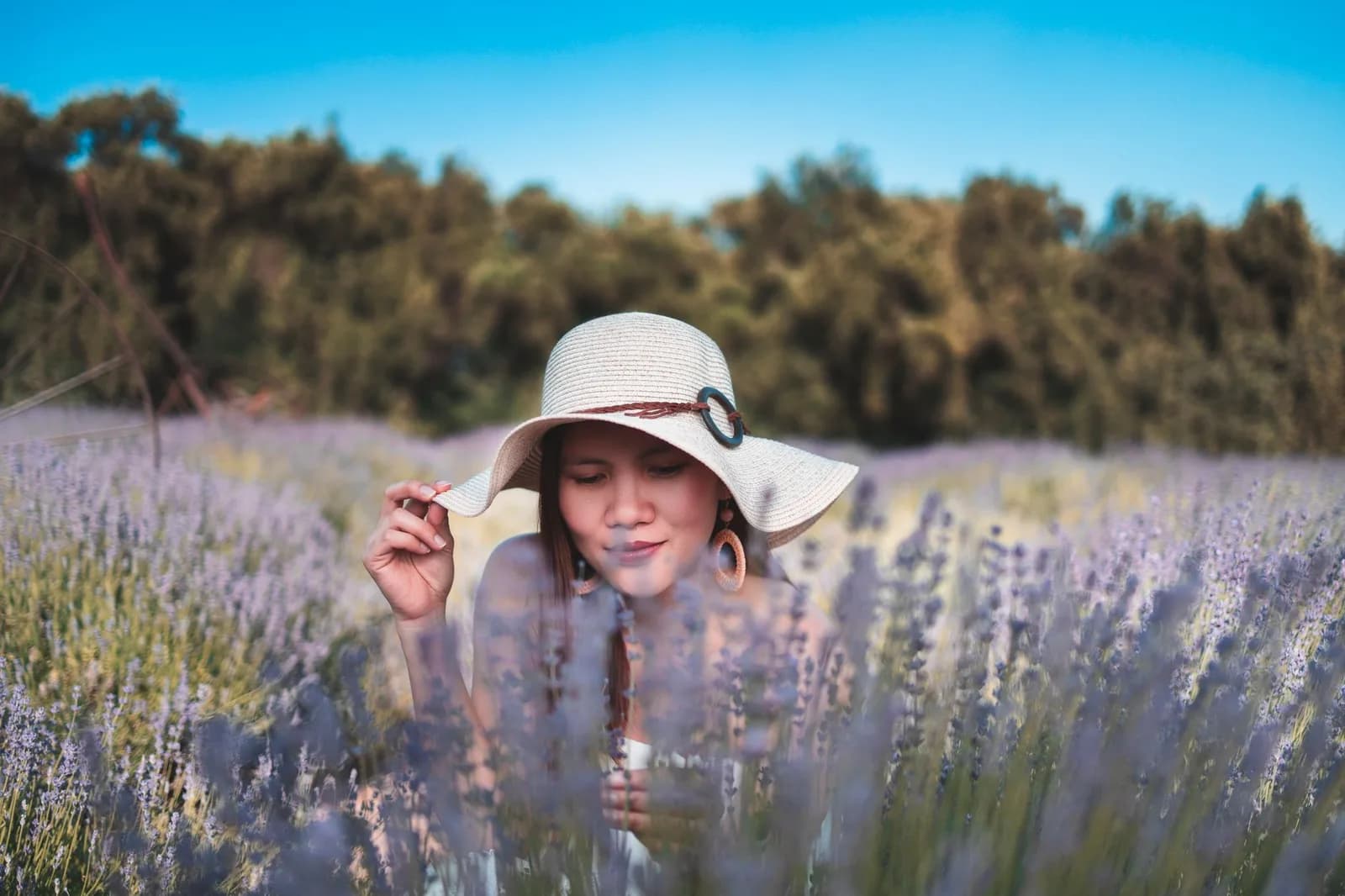 Lịch trình kết hợp ngắm hoa violet và tham quan bãi biển Mỹ Khê trong một ngày