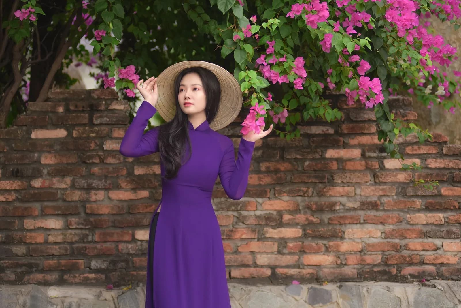 Nên đến vườn hoa violet công viên An Hòa vào ngày trong tuần hay cuối tuần
