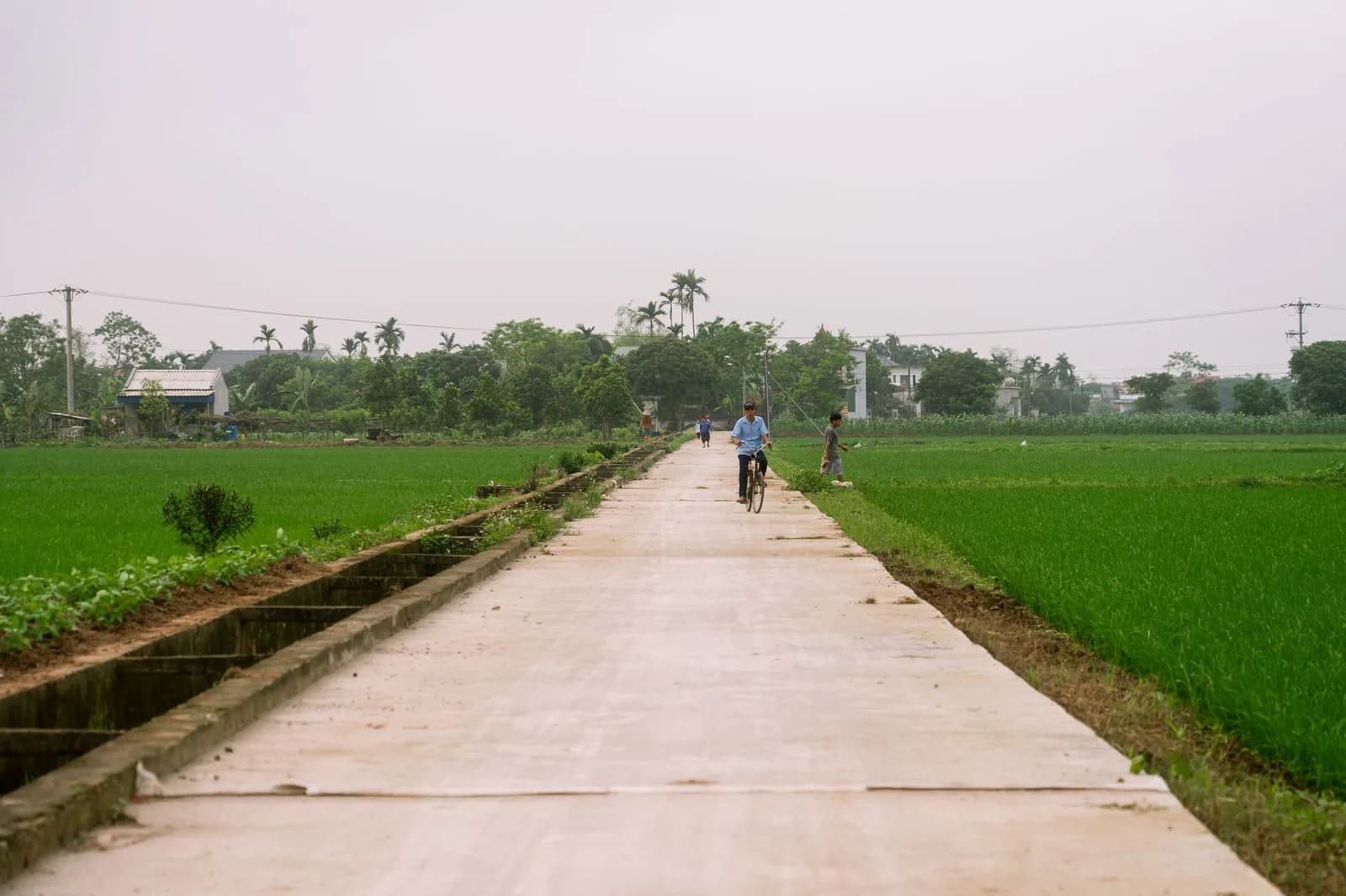 Lịch trình 2 ngày 1 đêm trải nghiệm làng quê Cẩm Thanh không cần xe máy
