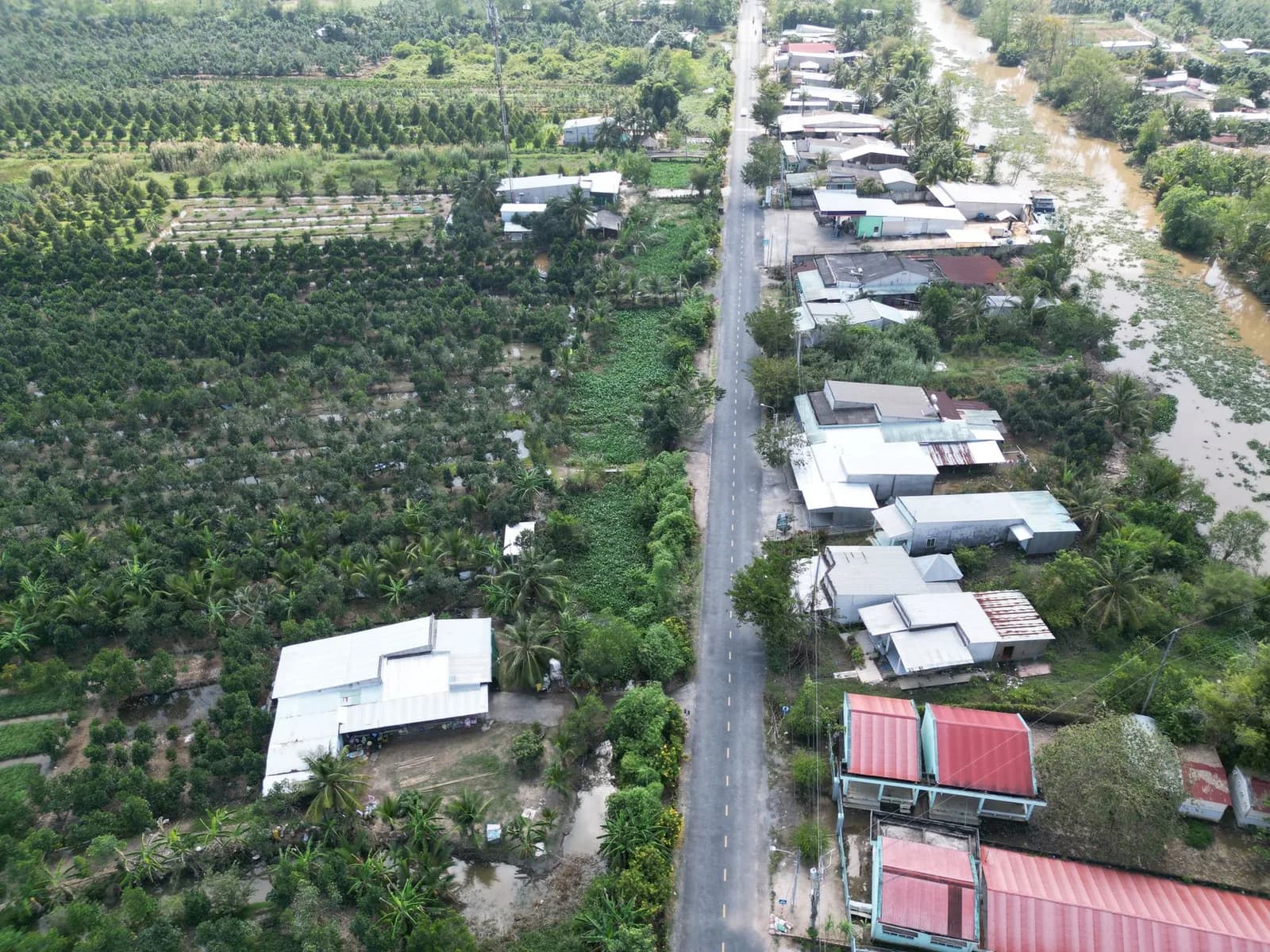 Ở farmstay hay homestay phù hợp hơn khi khám phá miền Tây