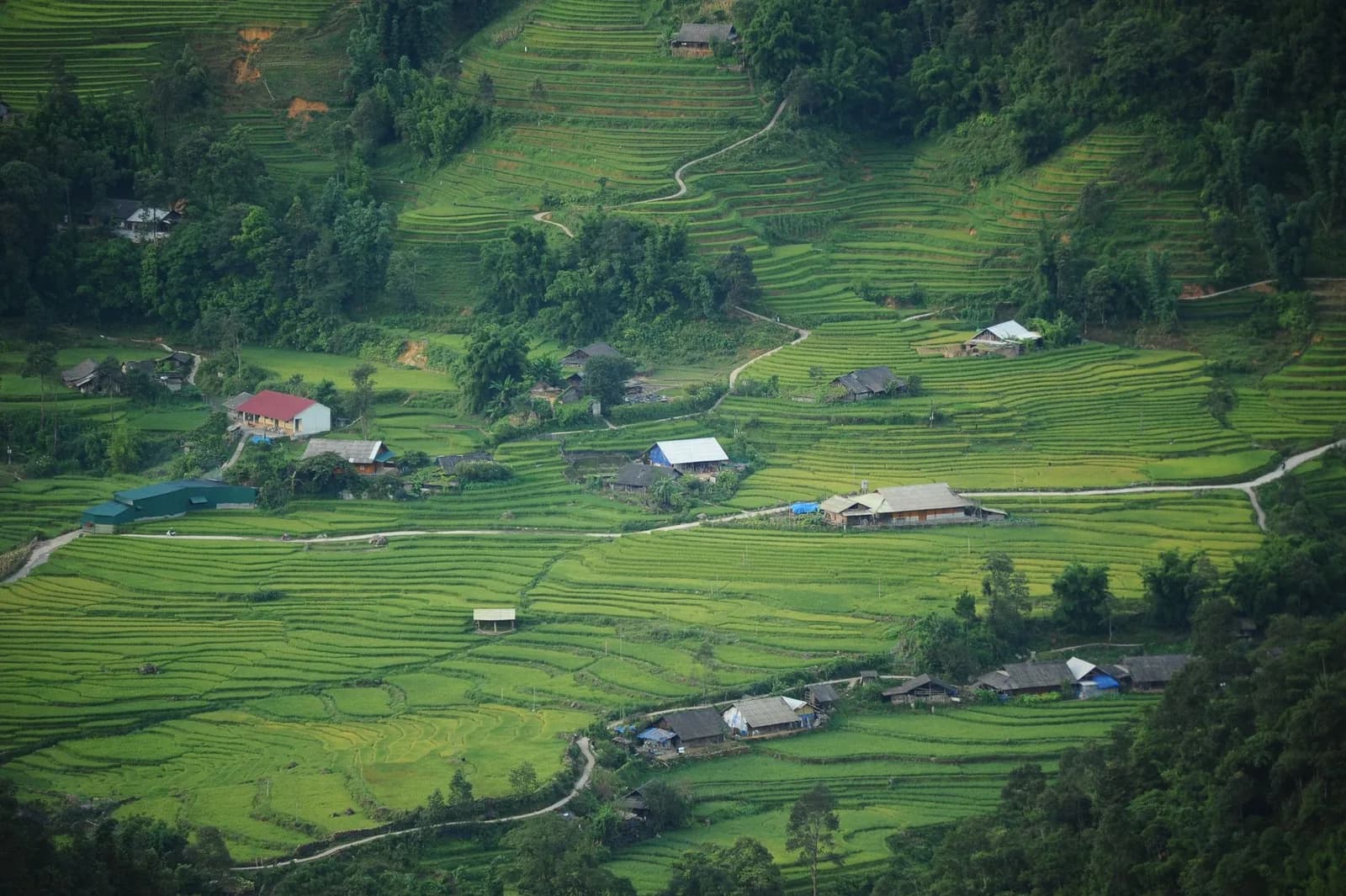10 câu hỏi thường gặp khi lần đầu ở farmstay giữa ruộng lúa