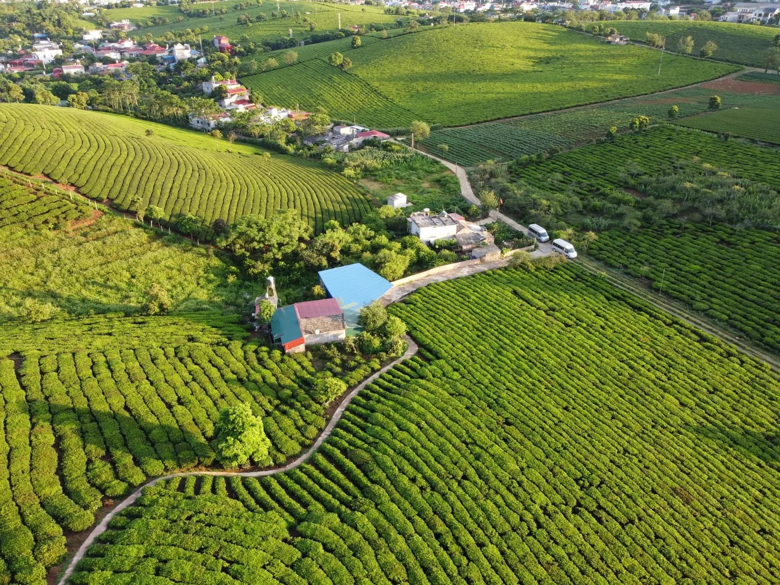Chi phí ăn uống tại Mộc Châu mùa đông cho một nhóm 4 người trong 2 ngày