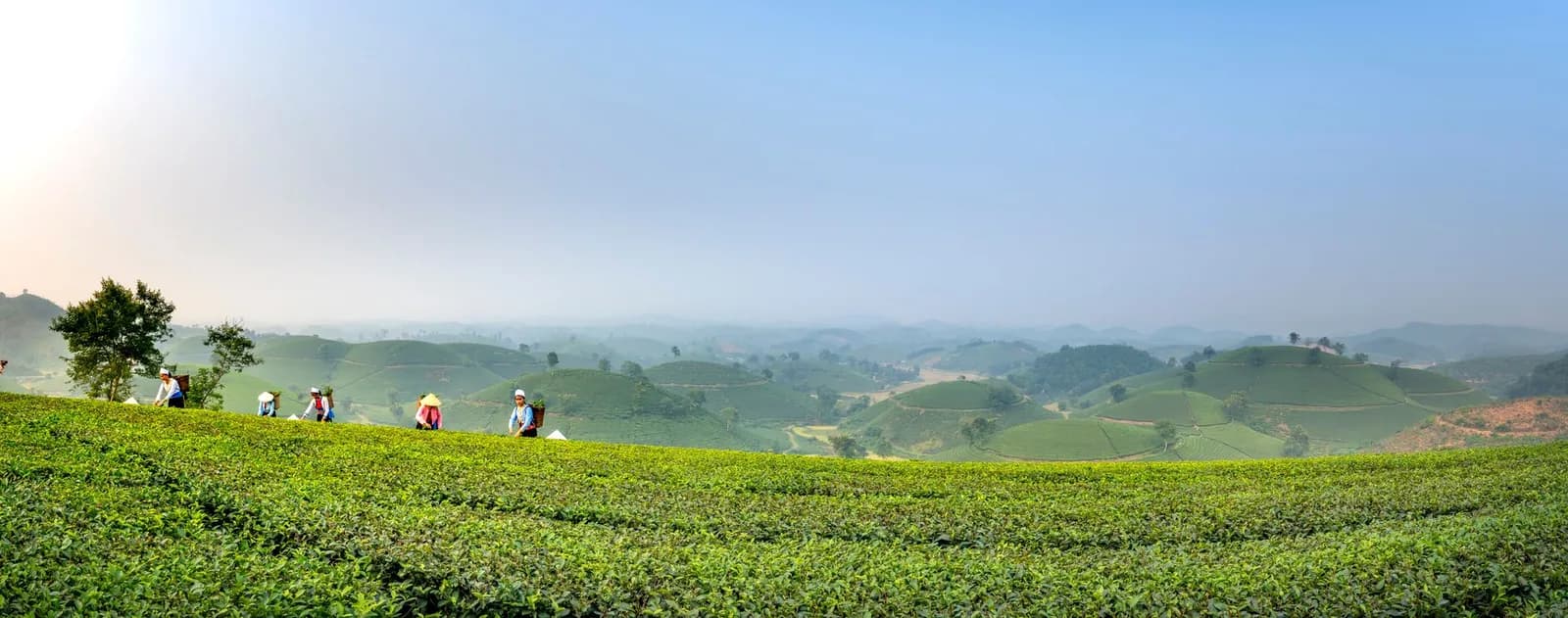 Đi từ Sài Gòn về Mộc Châu bằng máy bay và xe khách mất bao lâu