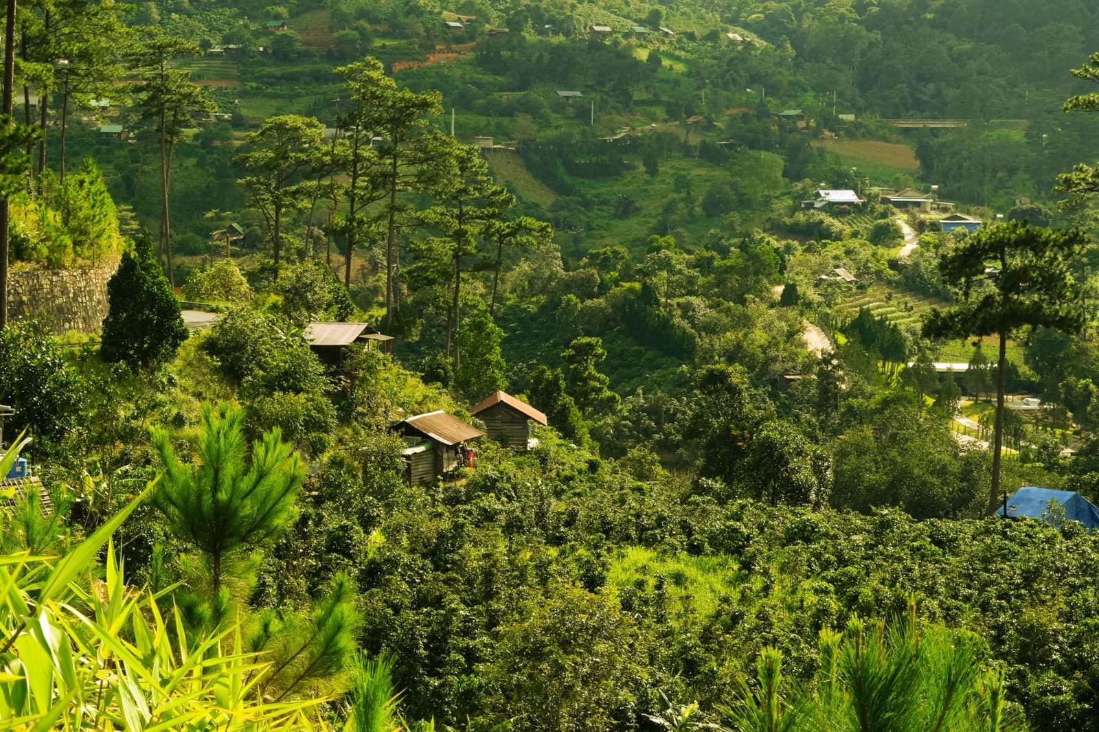 Đi tour cộng đồng hay tự túc phù hợp hơn khi lần đầu về bản làng