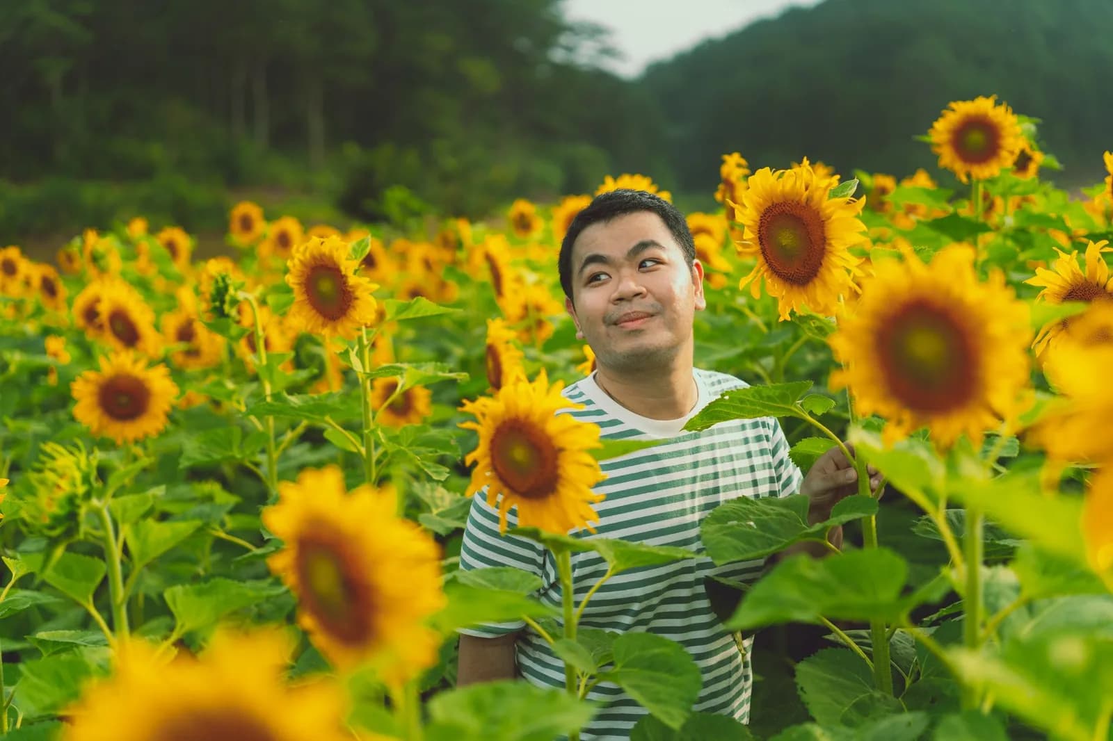 10 câu hỏi thường gặp khi xin phép chụp ảnh tại vườn hoa Đà Lạt