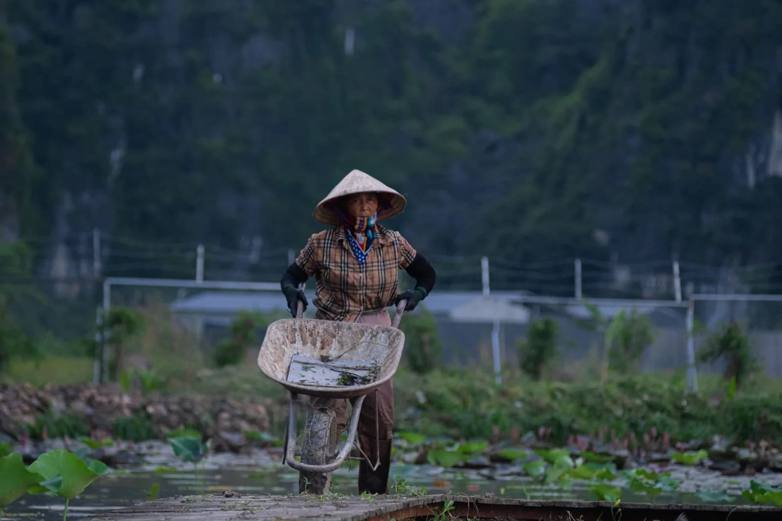 9 homestay Ninh Bình nhìn ra đồng lúa dành cho người muốn tránh tiếng ồn