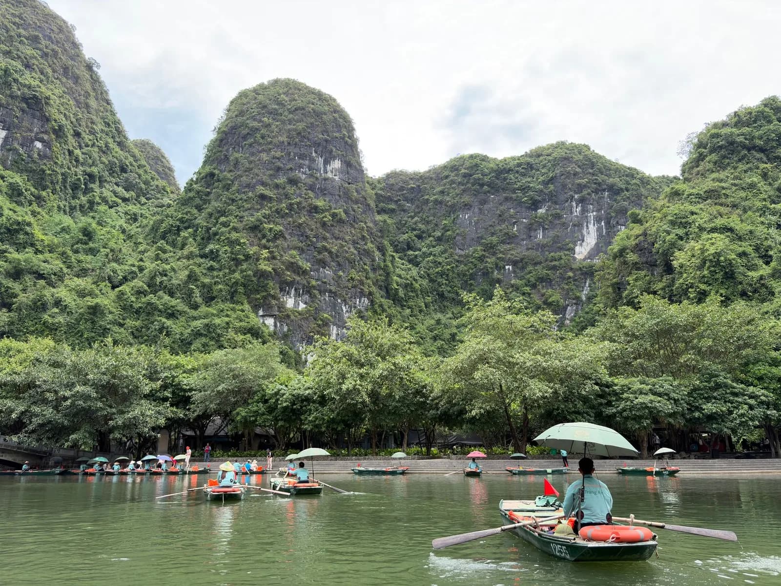Ở homestay Tam Cốc tháng nào dễ ngắm đồng lúa chín từ ban công