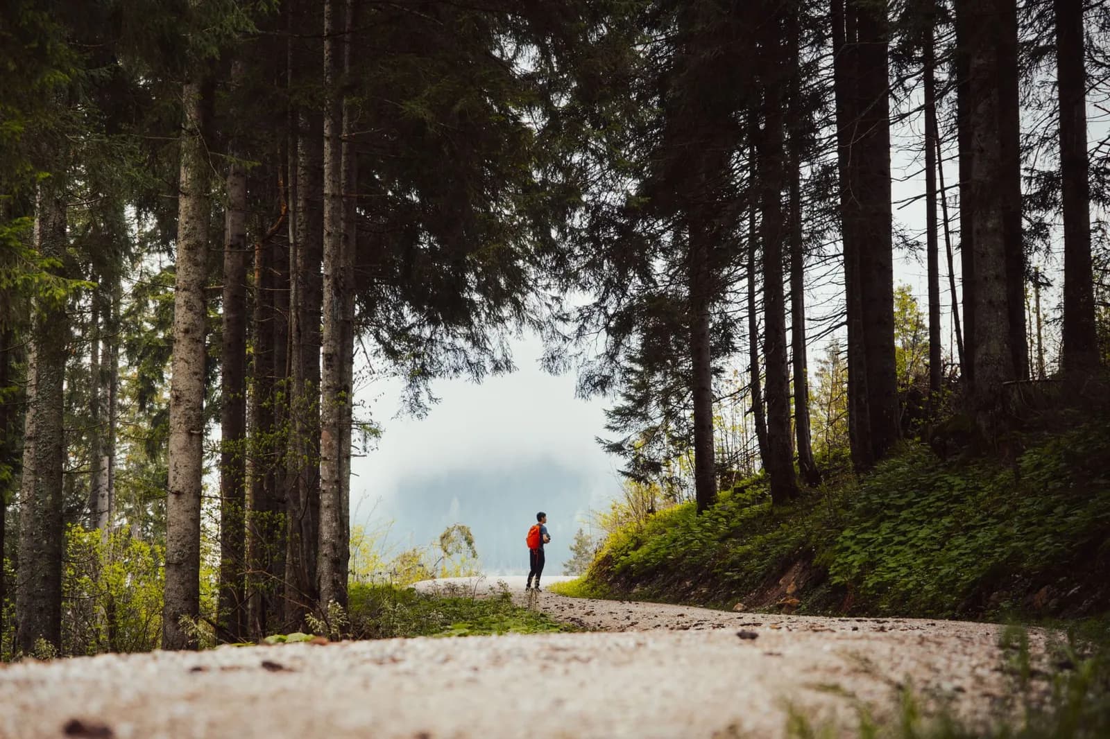 Trekking Hàm Lợn một mình cần thiết lập quy tắc an toàn nào