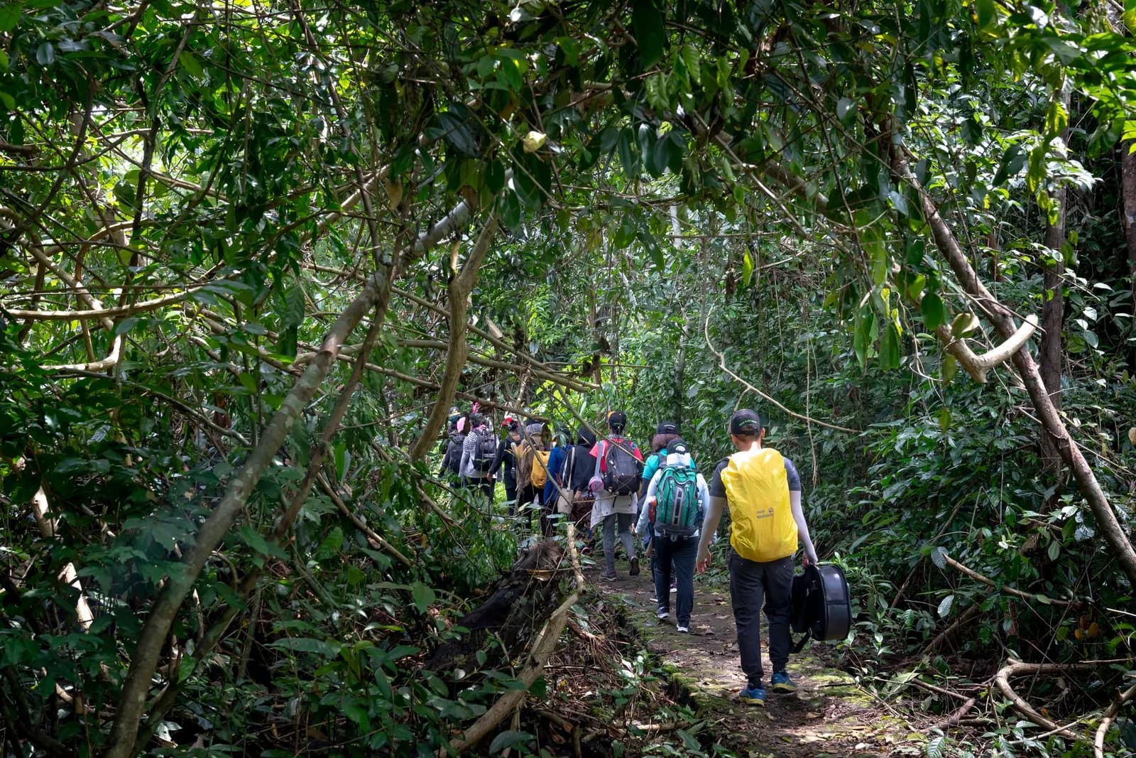 Cách phòng vắt và côn trùng khi trekking Hàm Lợn mùa ẩm