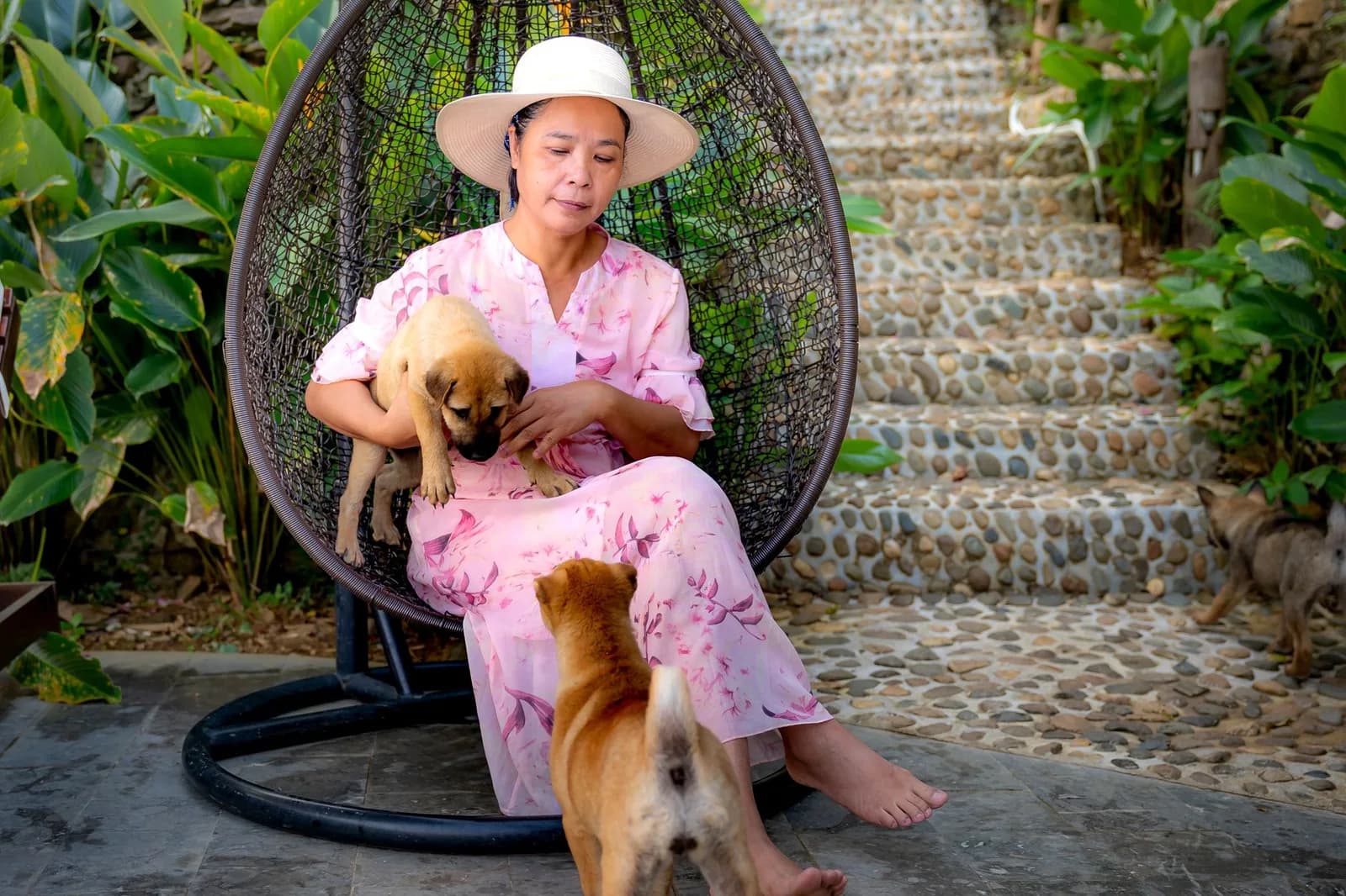 7 dấu hiệu cho thấy homestay thực sự thân thiện với thú cưng
