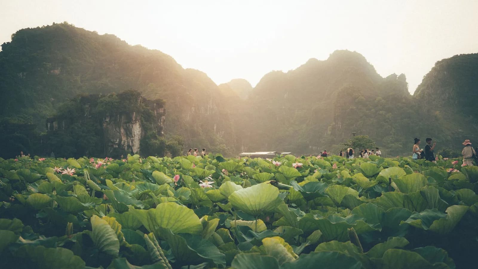 Chi phí ở homestay Ninh Bình một đêm cho nhóm bốn người hết bao nhiêu
