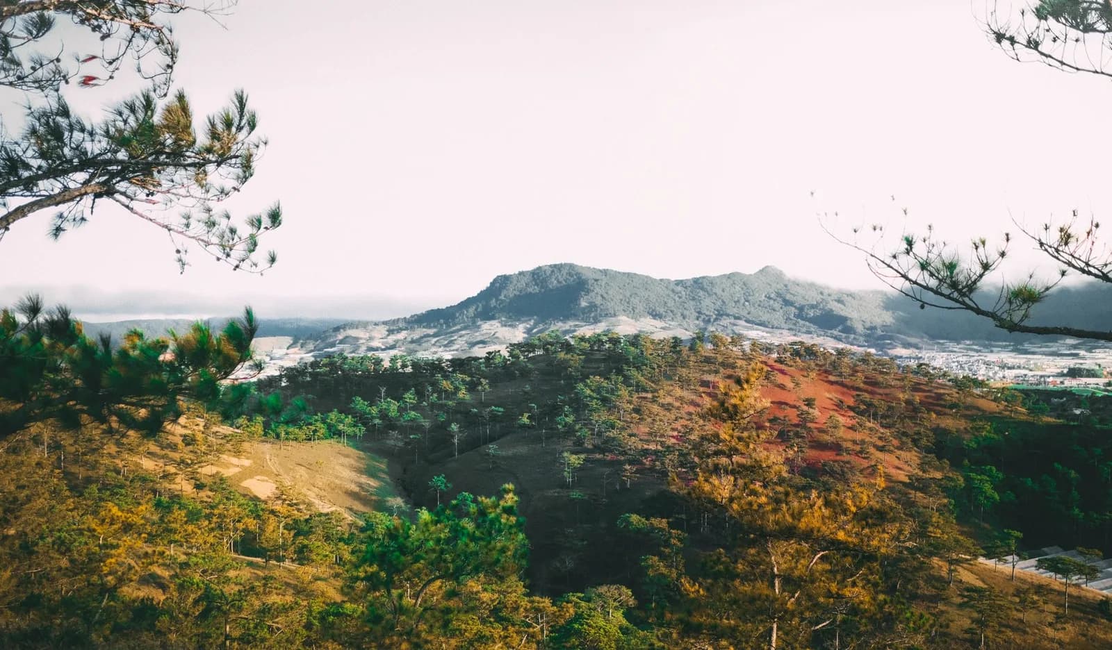 Chi phí thuê homestay Đà Lạt một đêm cho nhóm sáu người là bao nhiêu